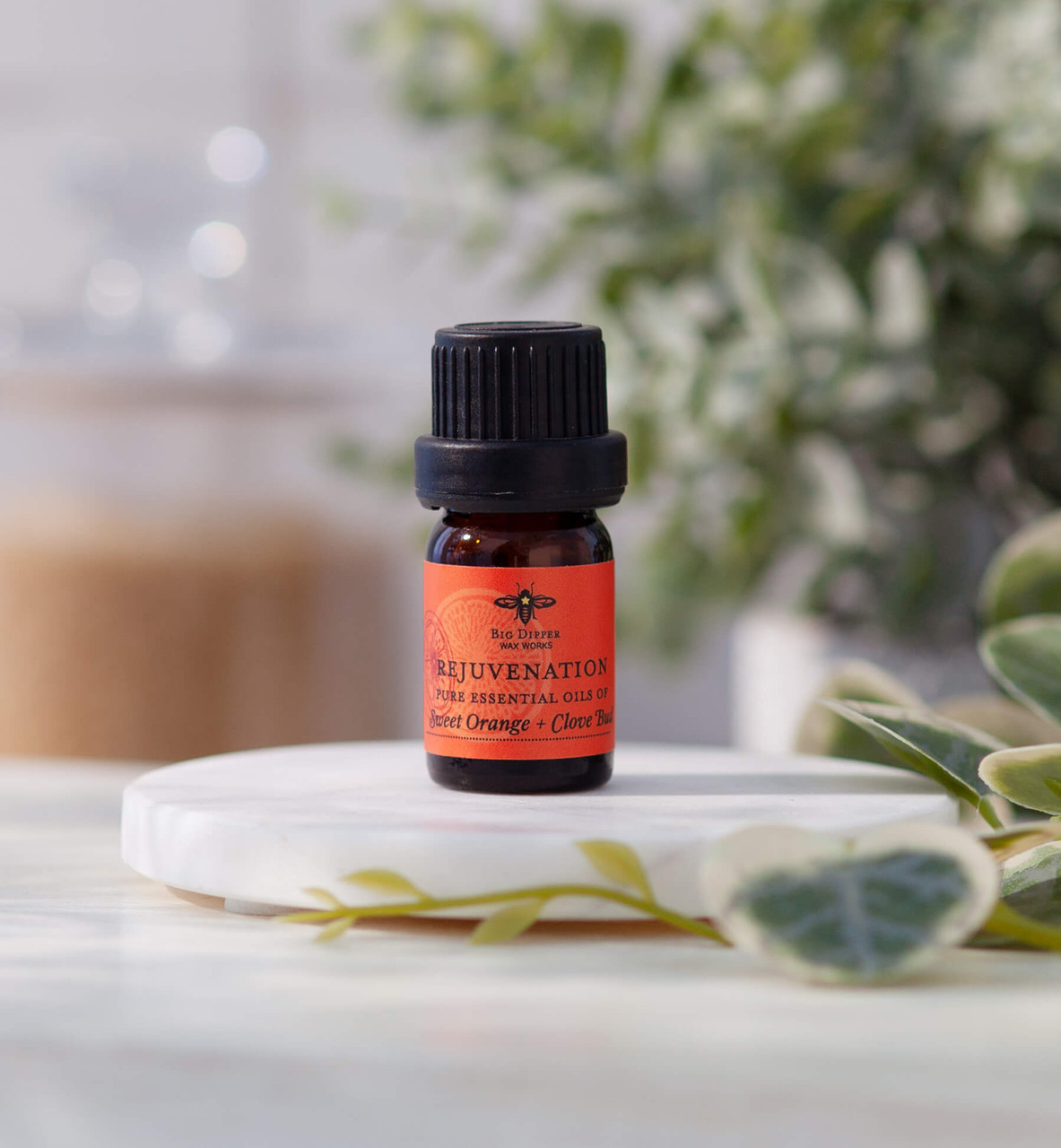 Rejuvenation Essential Oil Blend 5ml – Sweet Orange & Clove