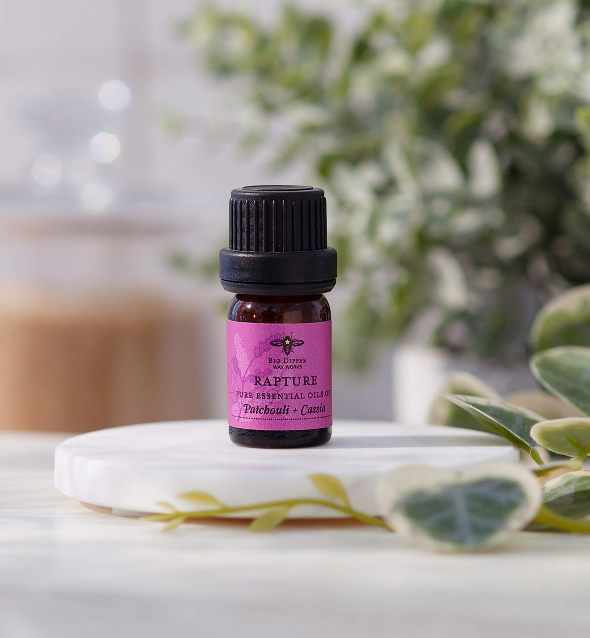 Patchouli Essential Oil Diffuser Blends Patchouli Cologne Recipe