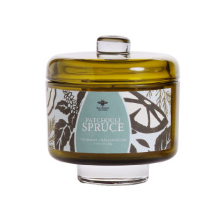Terra Botanica Aromatherapy Candle, Patchouli Spruce (8.5 oz)