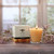 Pure Beeswax Beehive Glass Candle, Unscented – lit beehive glass candle by a window with its gift box