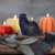 Pure Beeswax Sculpted Candle, Crow – black beeswax crow candle on a fall table with pumpkins