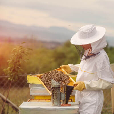 beeswax-candle-blog