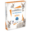 Fore Multipurpose Print Paper, 96 Bright, 24lb, 8.5 X 11, White, 500 Sheets/ream, 10 Reams/carton