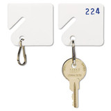 Slotted Rack Key Tags, Plastic, 1 1/2 X 1 1/2, Assorted, 20/pack