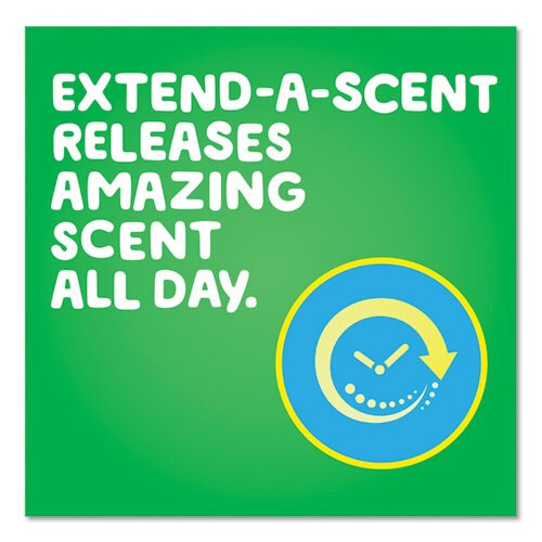 Flings Laundry Detergent Pods, Original Scent, 72/container Flings Laundry Detergent Pods, Original Scent, 72/container