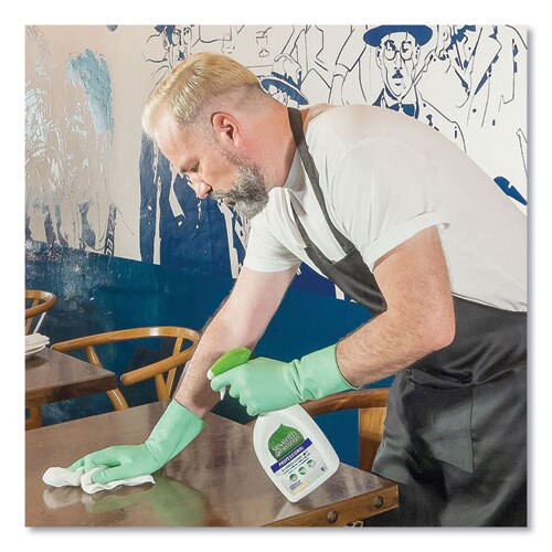 All-purpose Cleaner, Free And Clear, 1 Gal Bottle All-purpose Cleaner, Free And Clear, 1 Gal Bottle