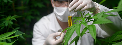 Third-party Lab Reports