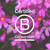 B-Corp and Women's Month