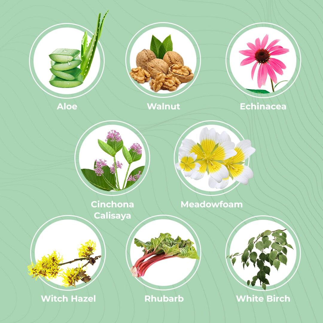 Herbatint Herbal Ingredients