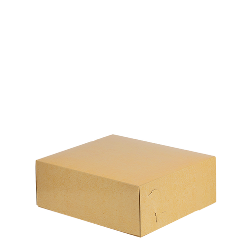 Plain Kraft Chicken Box T3