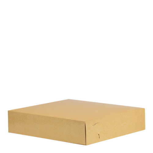 Plain Kraft Large Grill Box T20