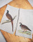 Linoroom Pheasant and Partridge (set of 2)