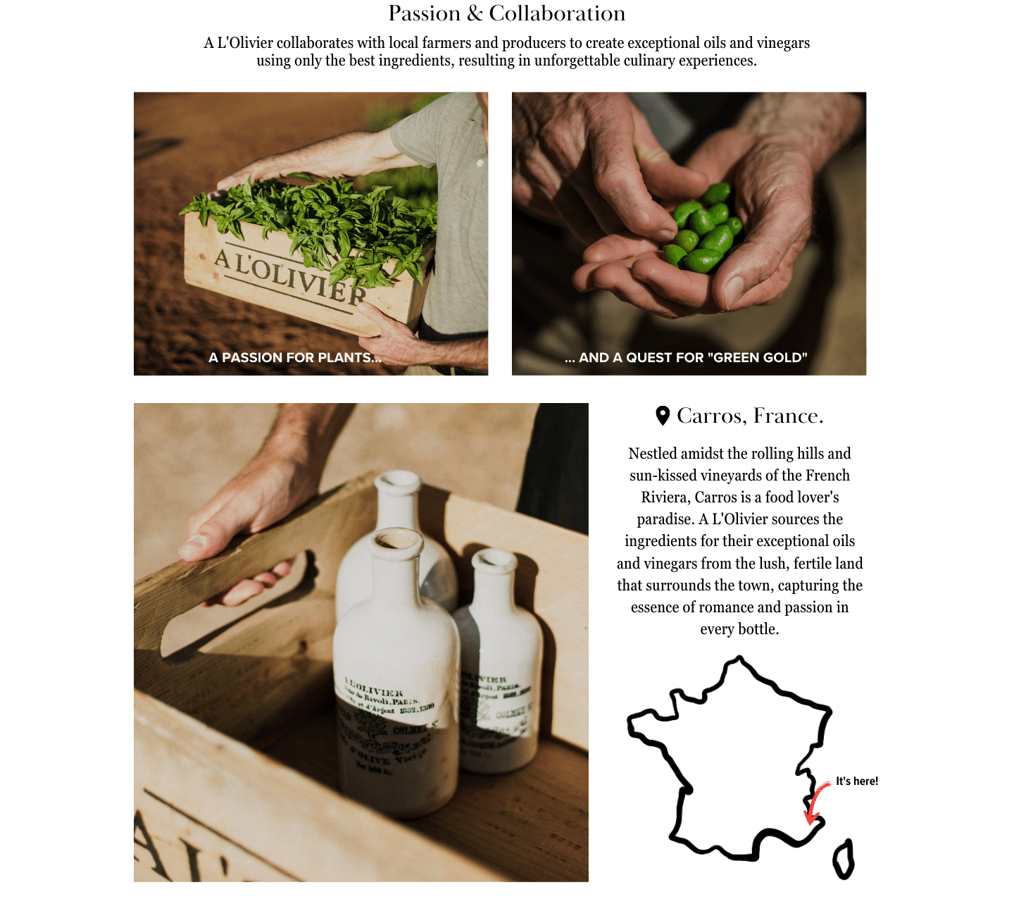 Images highlighting A L'olivier's commitment to plant-based products and sustainable farming practices. Features a wooden bucket of basil, farmers' hands holding olives, and A L'olivier's signature stone bottles of extra virgin olive oil.