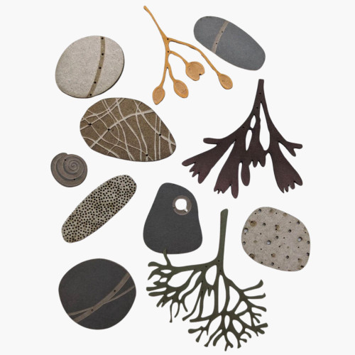 Set of Paper Pebbles and Seaweed by Hannah Nunn
