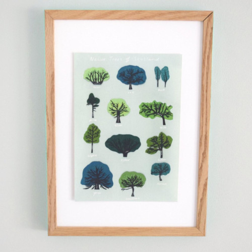 Scottish Native Trees Illustration Print with Gaelic Translations