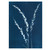 Cyanotype Floral Prints