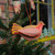 Screen-Printed Robin Decoration