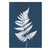 Cyanotype Floral Prints