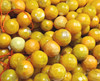 12mm Orange Yellow Fire Agate Faceted Round Beads