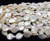 11 - 12mm White Freshwater Coin Pearls
