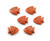 23x26 Pack Of 6 Orange Howlite Carved Fish Beads