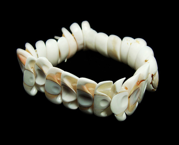 7 Inches Natural Shell Stretch Bracelet