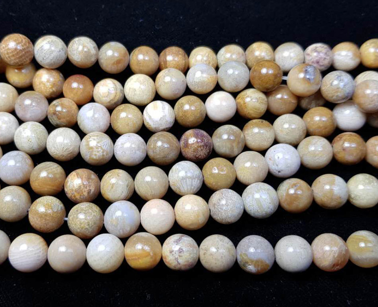 8mm 15.5 Inches Fossil Coral Jasper Round Beads