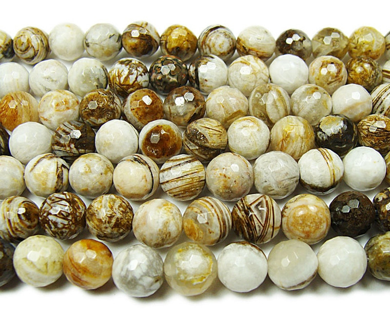 10mm American Petrified Wood Jasper Faceted Beads
