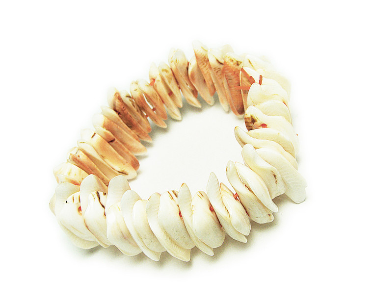 7.5 Inches Pale Pink Natural Shell Stretch Bracelet