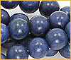 Lapis Blue