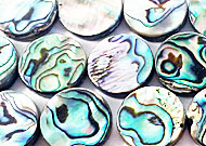Abalone Shell