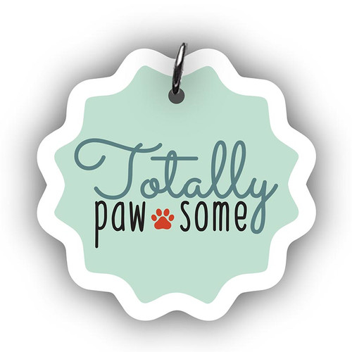 TOTALLY PAWSOME PET CLR CHARM PCSS-24816