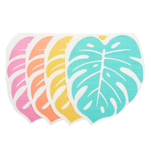 20CT KAILO MONSTERA LNCH NPK TW7-25061