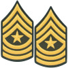 Sleeve Rank Insignia - Gold on Green from Hessen Tactical