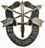 Special Forces Unit Crests (pair)