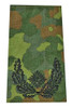 Bundeswehr Bundeswehr Flecktarn Rank Insignia from Hessen Antique