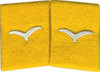 Enlisted Collar Tabs