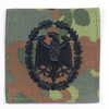 Embroidered Leistungsabzeichen - Subdued