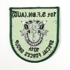 1st Battalion 10th Special Forces Group Deployment Patch