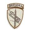 USACAPOC Desert Storm Unit Patch