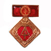 Socialist Labor Activist Medal