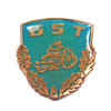 GST Motorsport Achievement Badge in Bronze