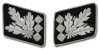 SS General Officer Collar Tabs (Kragenspiegel)