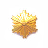 Japanese Para-Military/Police Style 6 pointed Star Pips