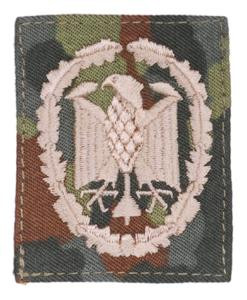 Embroidered Leistungsabzeichen In Bronze