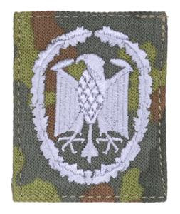 Embroidered Leistungsabzeichen In Silver