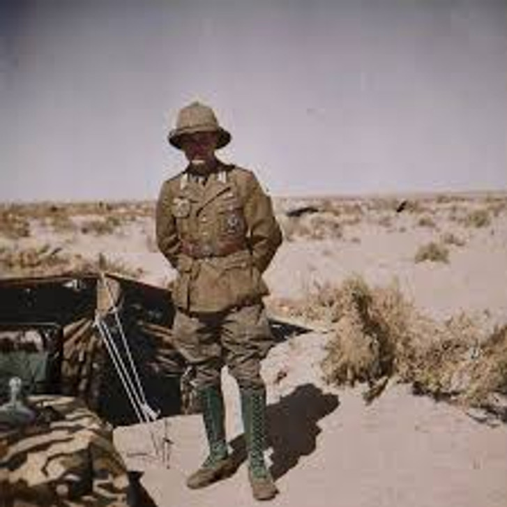 This weeks Restocked items 10/15/2021