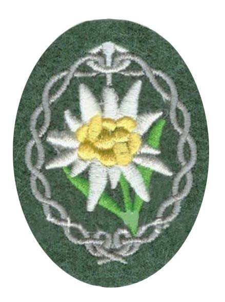 Gebirgsjäger Edelweiss Sleeve Patch