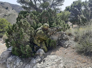 This weeks Restocked items 6/18/21