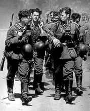 This week's restocked items - 11/18/2024